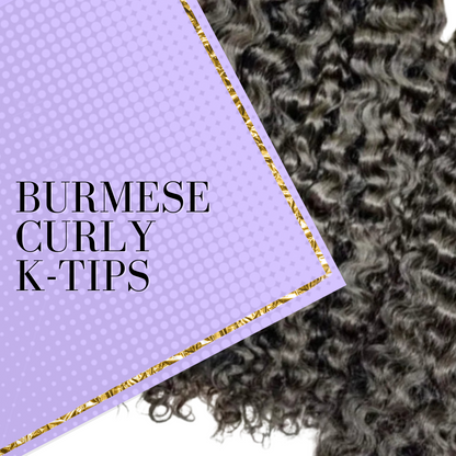 Burmese Curly K-tips